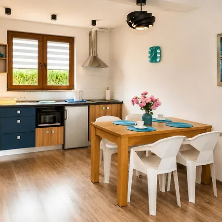 펜션 Apartamentowe Wiking Władysławowo